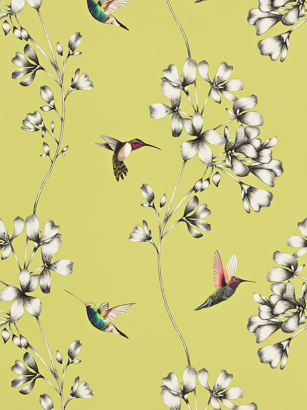 10 of the most stunning bird themed wallpapers - Envy Interior Design